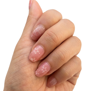 Cherry Blossom